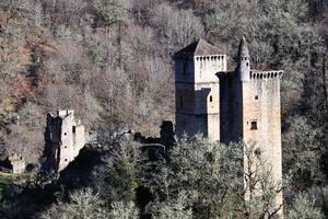 Vidange fosse septique Castelnau-le-Lez